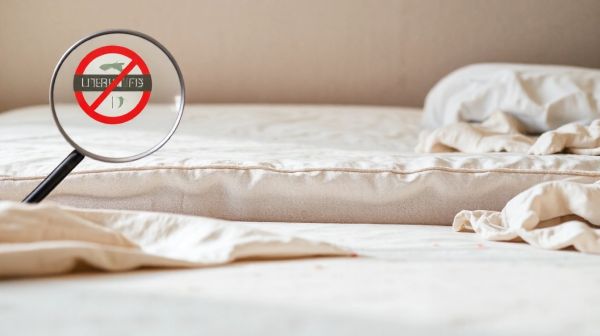 Guide d'achat : meilleur produit pour éradiquer les punaises de lit